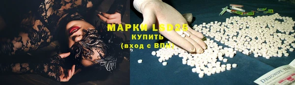 прущие грибы Кукмор