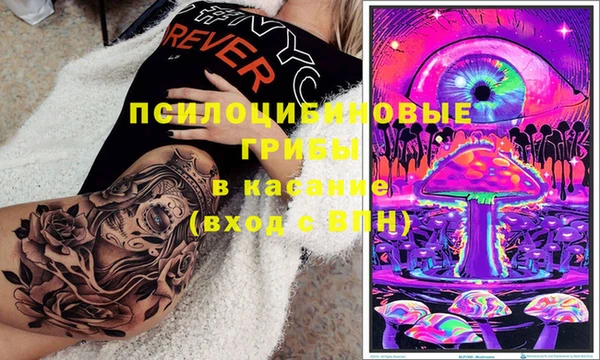 прущие грибы Кукмор