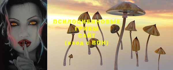 марки lsd Ладушкин
