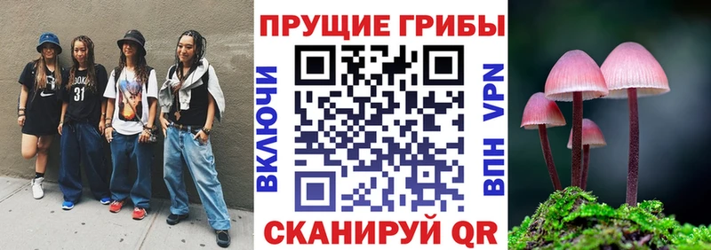 Галлюциногенные грибы прущие грибы  Белокуриха 